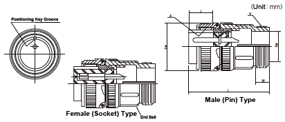 Outline Drawing 