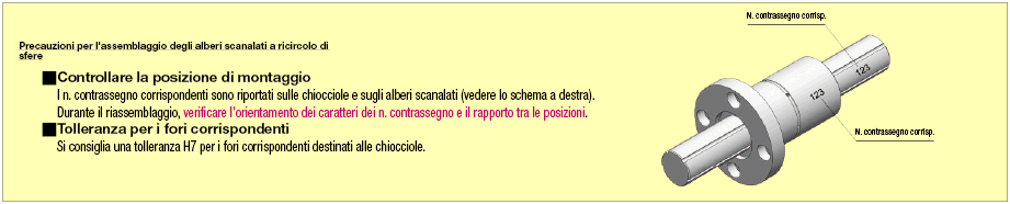 Alberi scanalati a ricircolo di sfere/Maschiatura sui due lati:Immagine relativa