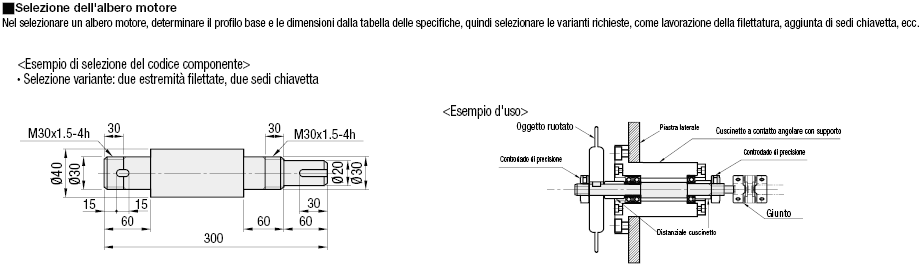 Alberi motore/Gradino su un lato/doppio gradino sull'altro:Immagine relativa