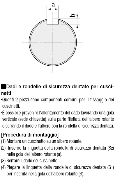 Controdadi per cuscinetti/Con rondella di sicurezza dentata:Immagine relativa