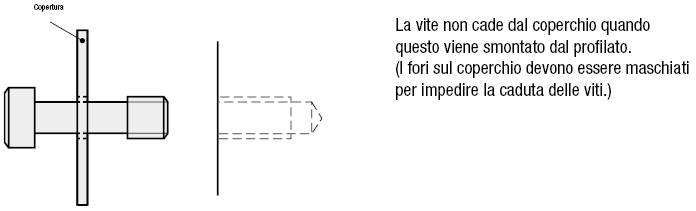 Bulloni per coperchio - A esagono incassato:Immagine relativa