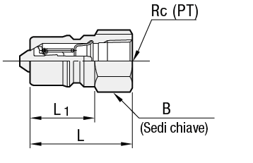 Attacchi a innesto rapido/A spina/maschiati/con valvola:Immagine relativa