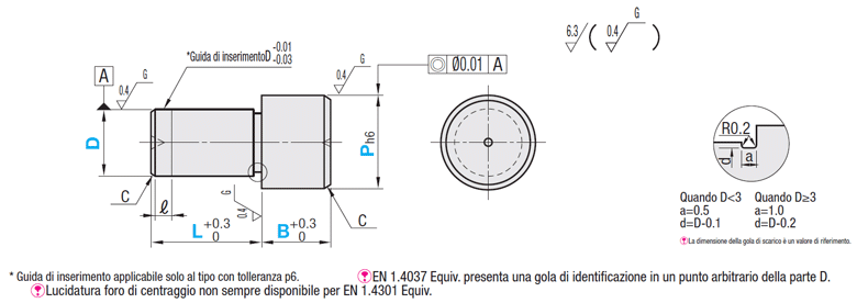 Testa piatta grande/standard/P standard:Immagine relativa