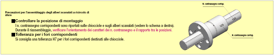 Alberi scanalati a ricircolo di sfere/Gradino sui due lati:Immagine relativa