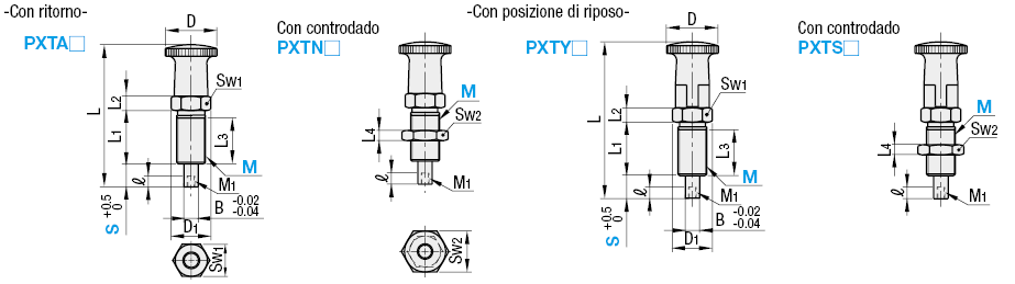 Pistoncini/Punta maschiata:Immagine relativa