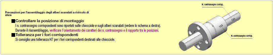 Alberi scanalati a ricircolo di sfere/Maschiatura sui due lati:Immagine relativa