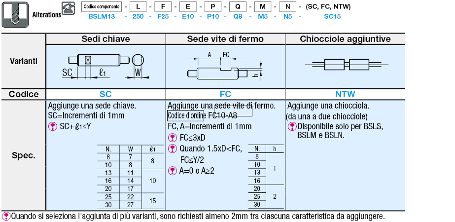 Alberi scanalati a ricircolo di sfere/Gradino e maschiatura sui due lati:Immagine relativa