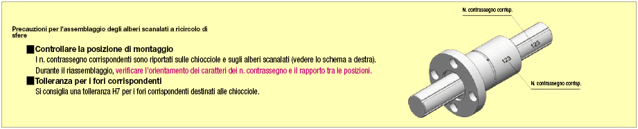 Alberi scanalati a ricircolo di sfere/Gradino e maschiatura sui due lati:Immagine relativa