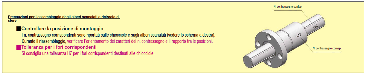 Alberi scanalati a ricircolo di sfere/Gradino e filettatura su un lato:Immagine relativa