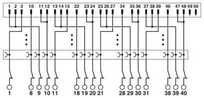 Modulo di interfaccia, FLKM