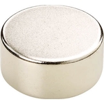 Neodymium Magnet (Round)