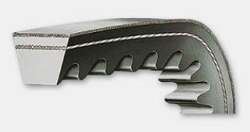 Cinghia a cuneo, linea X