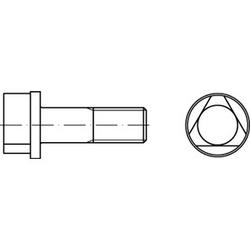 Bulloni a testa triangolare DIN 22424