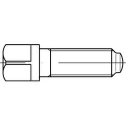 Bulloni a testa quadrata DIN 480