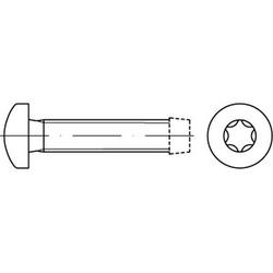 Viti autofilettanti con testa TORX DIN 7500