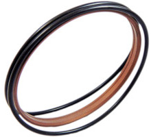 Raschietti a doppio effetto, PTFE-bronzo con O-ring NBR