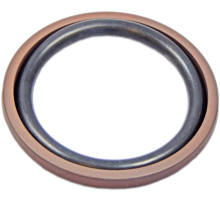 Guarnizione per pistone, PTFE, con O-ring NBR, OMK