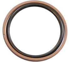 Guarnizione per pistone, PTFE-bronzo, con O-ring FKM, OMK-MR