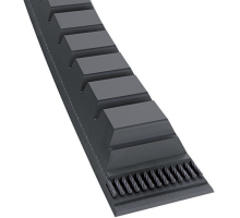 Cinghia a V, Conti-V Advance
