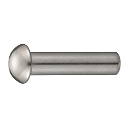 Rivetti acciaio inox