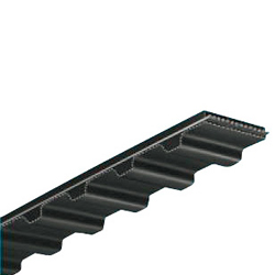 cinghie dentate L