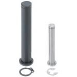 Perni di cerniera / collare / acciaio inox, acciaio / scanalatura anulare / incl. anello di sicurezza