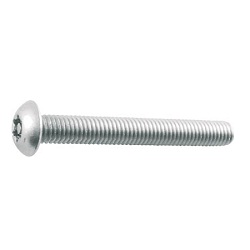 Bullone a testa bombata esalobato (acciaio inox)