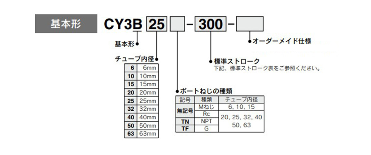 Model number example